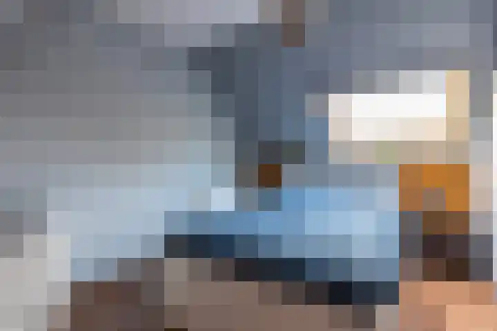 Landscheijding 19 Lopik thumbnail 38