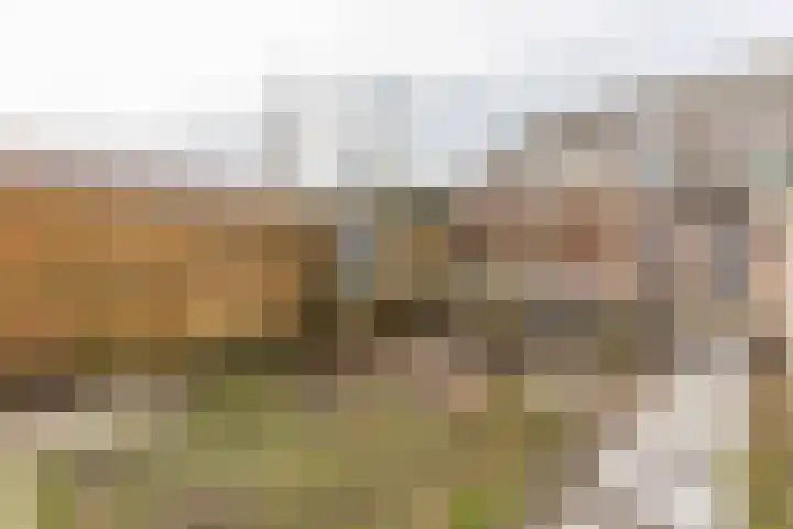 Landscheijding 19 Lopik thumbnail 4