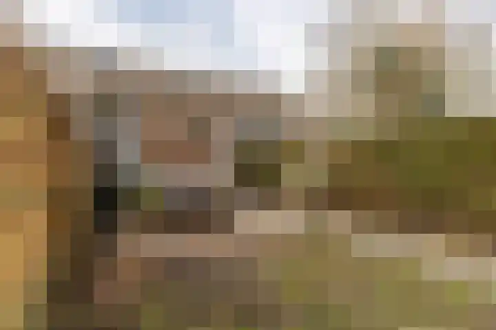 Landscheijding 19 Lopik thumbnail 45