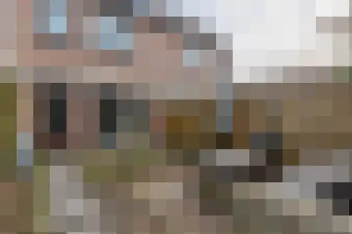 Landscheijding 19 Lopik thumbnail 48