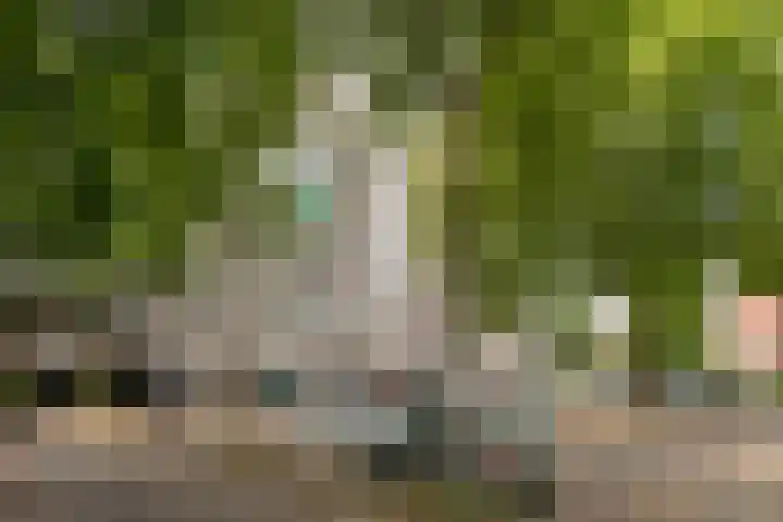 Landschot 20 Haarlem thumbnail 20