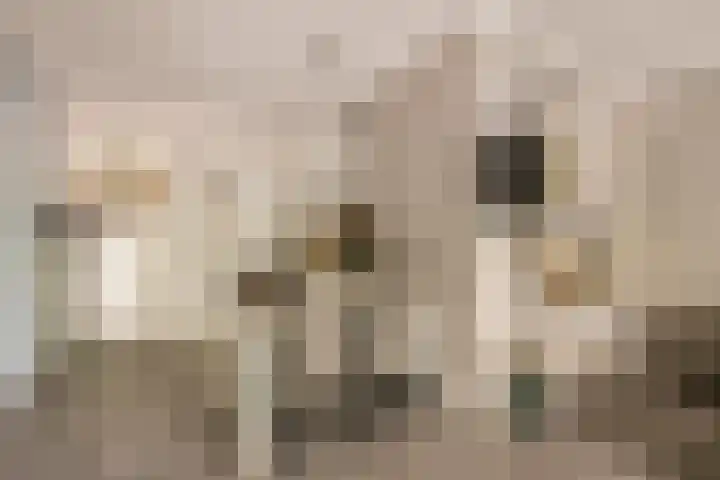 Landschot 20 Haarlem thumbnail 8
