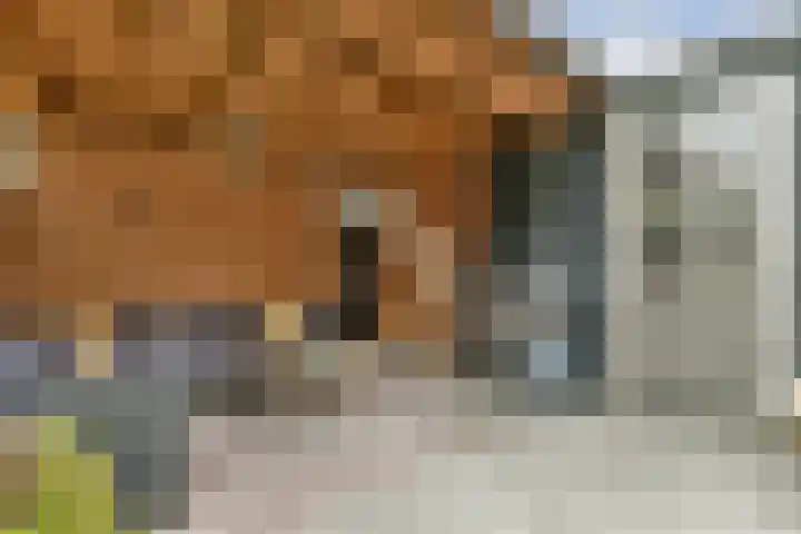 Landscronerlaan 119 Weesp thumbnail 13