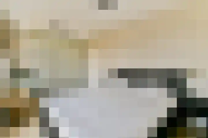 Landscronerlaan 119 Weesp thumbnail 17