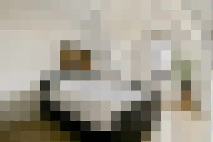 Landscronerlaan 119 Weesp thumbnail 24