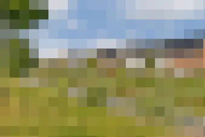 Landscronerlaan 119 Weesp thumbnail 31
