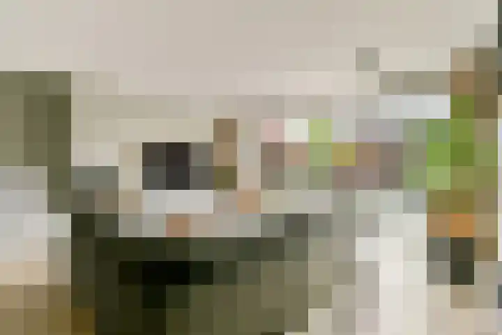 Landscronerlaan 119 Weesp thumbnail 8