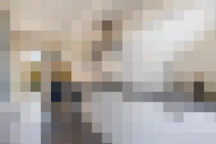 Landsherenlaan 34 Deventer thumbnail 18