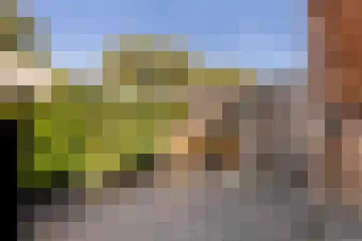 Landsherenlaan 34 Deventer thumbnail 24