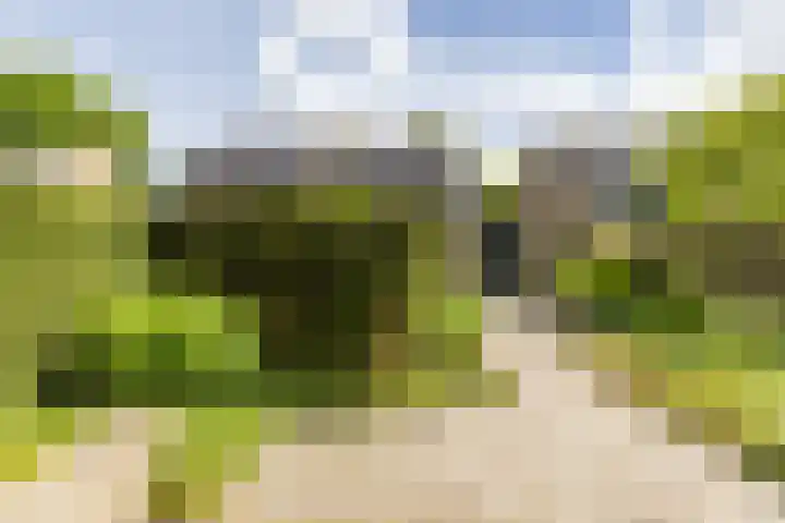 Landsteinerweg 23 Eelde thumbnail 41