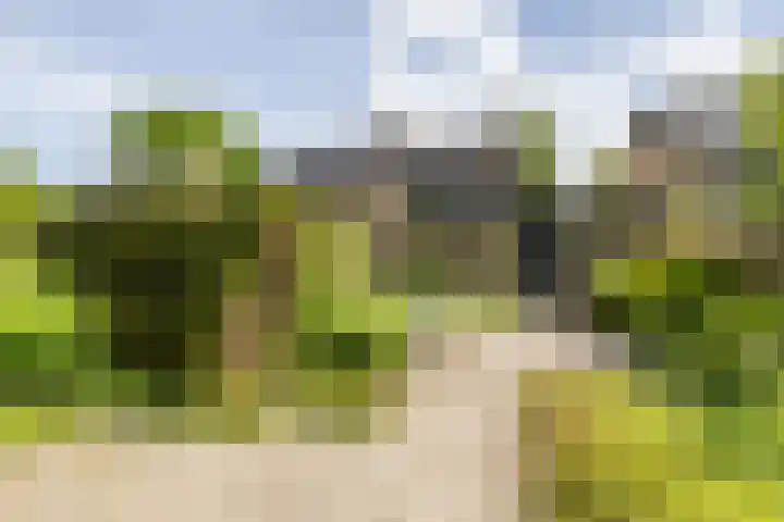 Landsteinerweg 23 Eelde thumbnail 42
