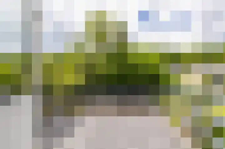 Landsteinerweg 23 Eelde thumbnail 49