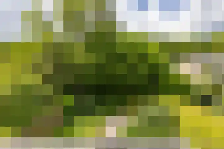 Landsteinerweg 23 Eelde thumbnail 51
