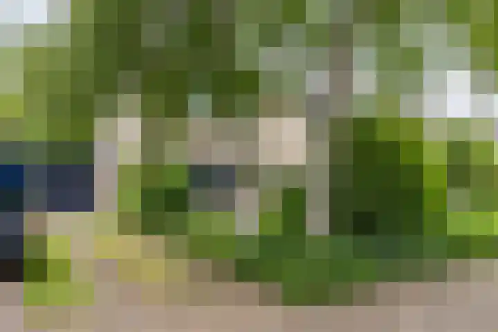 Landsteinerweg 23 Eelde thumbnail 6