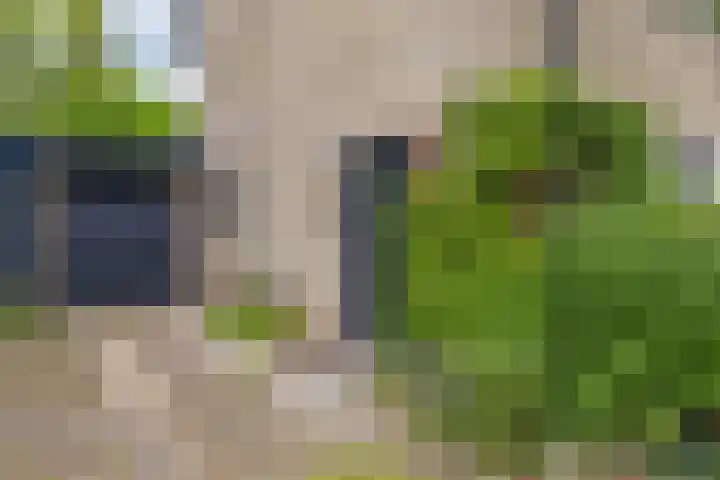 Landsteinerweg 23 Eelde thumbnail 7