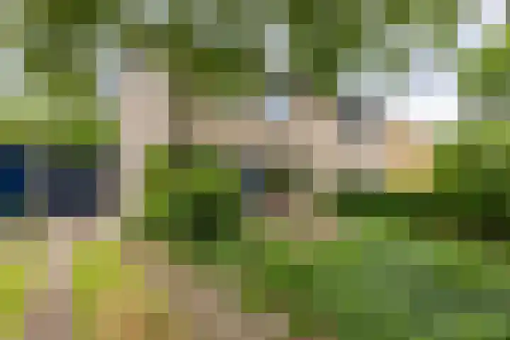Landsteinerweg 23 Eelde thumbnail 71