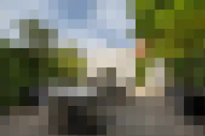 Landstraat 182 Bussum thumbnail 29