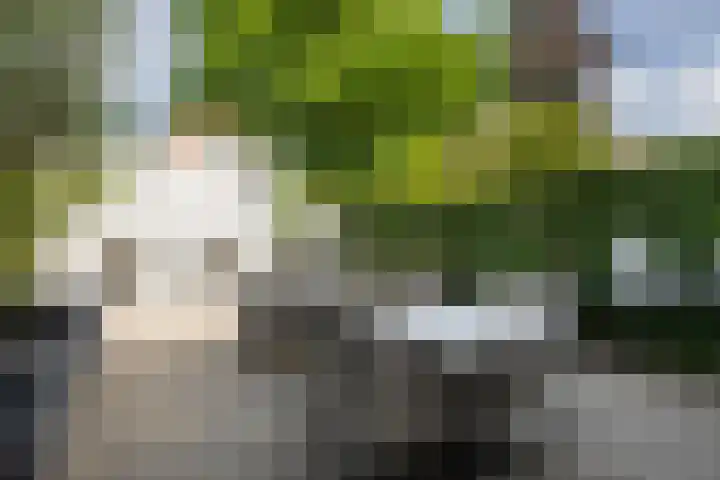 Landstraat 182 Bussum thumbnail 30