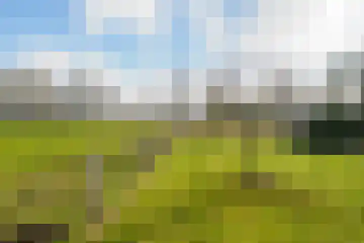 Landweerweg 65 Enschede thumbnail 9