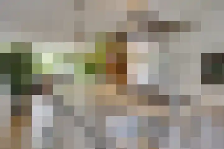 Landweg 257 Leusden thumbnail 16