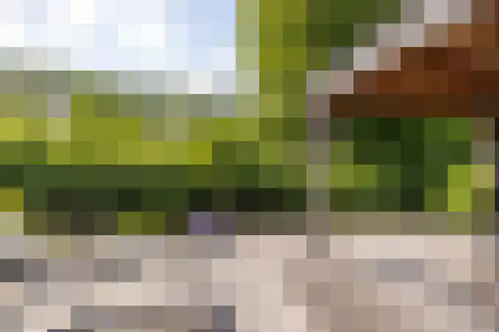 Landweg 257 Leusden thumbnail 28