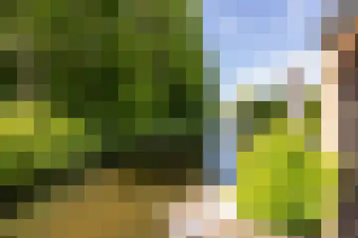 Landweg 257 Leusden thumbnail 29