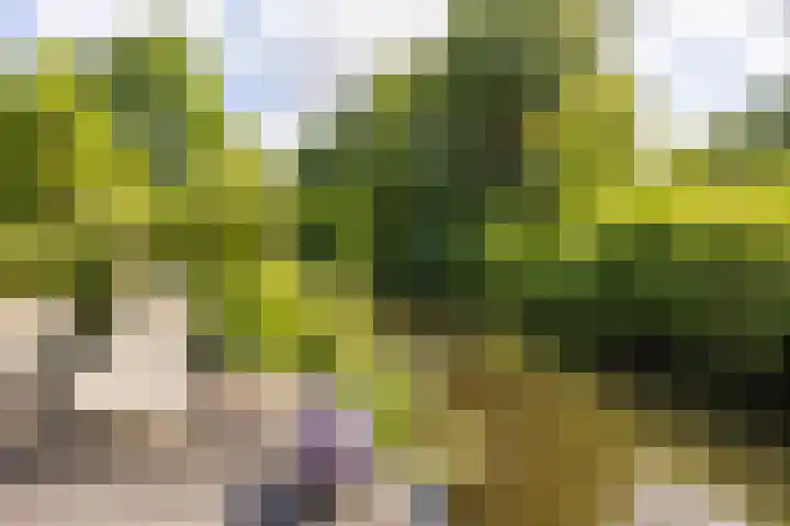Landweg 257 Leusden thumbnail 30