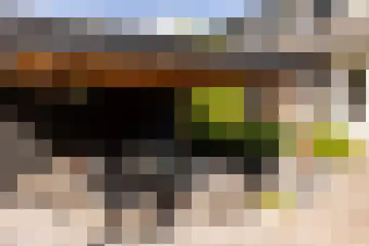Landweg 257 Leusden thumbnail 31