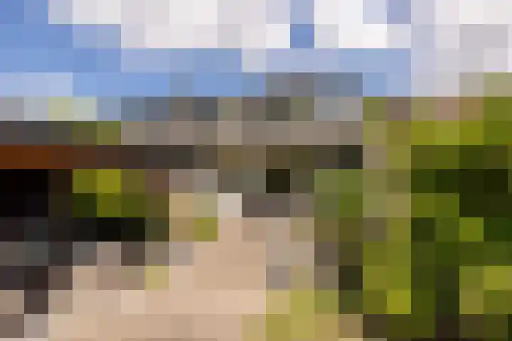 Landweg 257 Leusden thumbnail 32