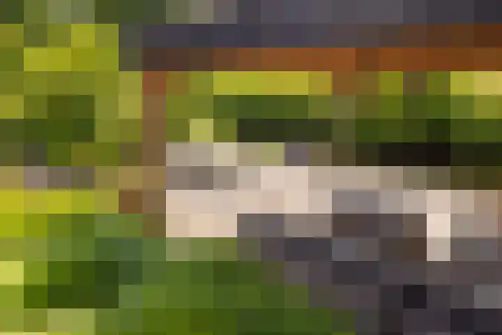 Landweg 257 Leusden thumbnail 33