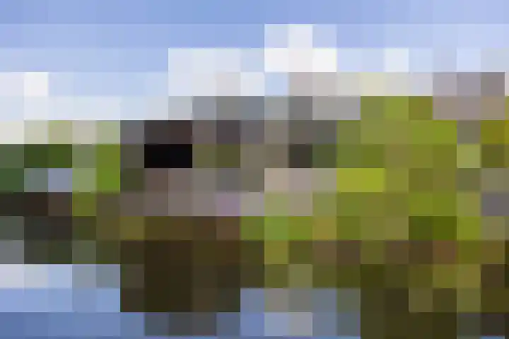 Landweg 257 Leusden thumbnail 34