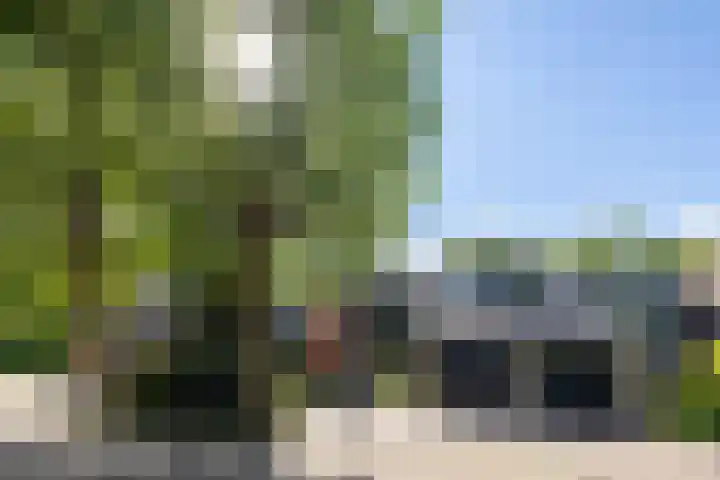 Landweg 257 Leusden thumbnail 4