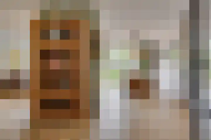 Landweg 257 Leusden thumbnail 8