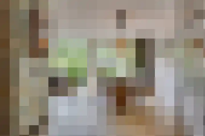 Landweg 257 Leusden thumbnail 9