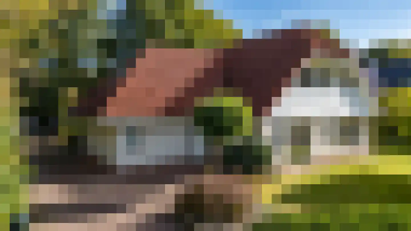 Langakkers 22 Schipborg