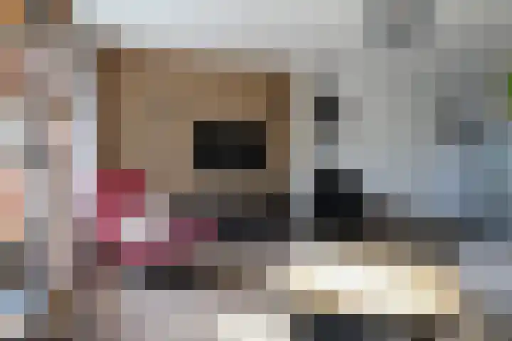 Langdeel 28 Oudega thumbnail 27