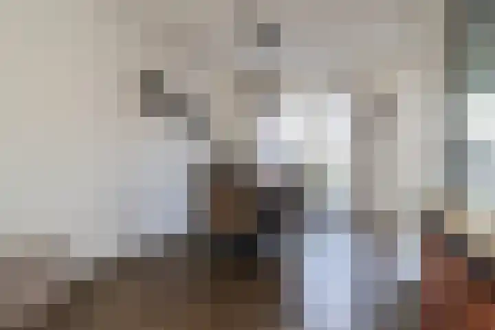 Langdeel 28 Oudega thumbnail 29