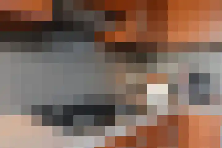 Langdeel 28 Oudega thumbnail 35