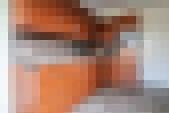 Langdeel 28 Oudega thumbnail 5