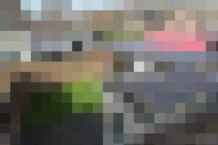 Langdeel 28 Oudega thumbnail 53