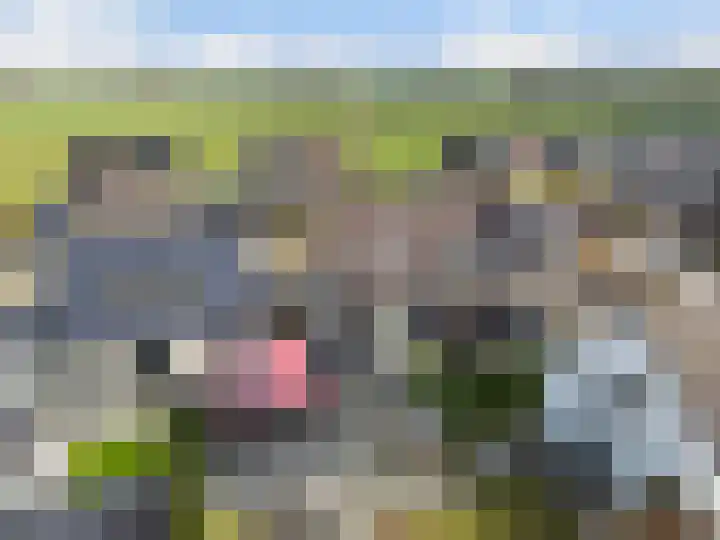 Langdeel 28 Oudega thumbnail 64