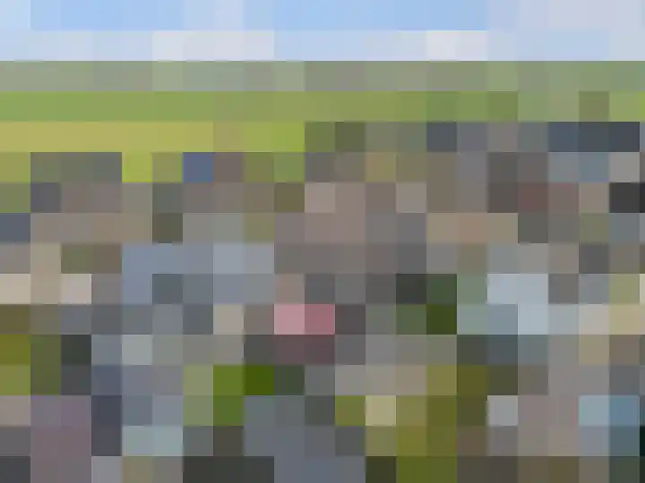 Langdeel 28 Oudega thumbnail 65