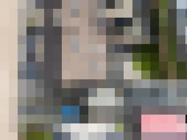 Langdeel 28 Oudega thumbnail 66
