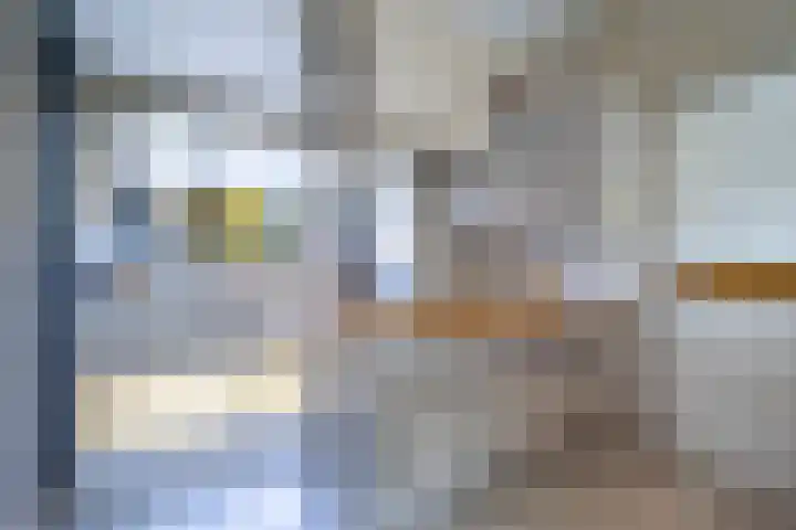 Langdonk 4 Bavel thumbnail 14