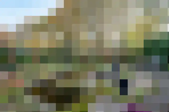 Langdonk 4 Bavel foto 3