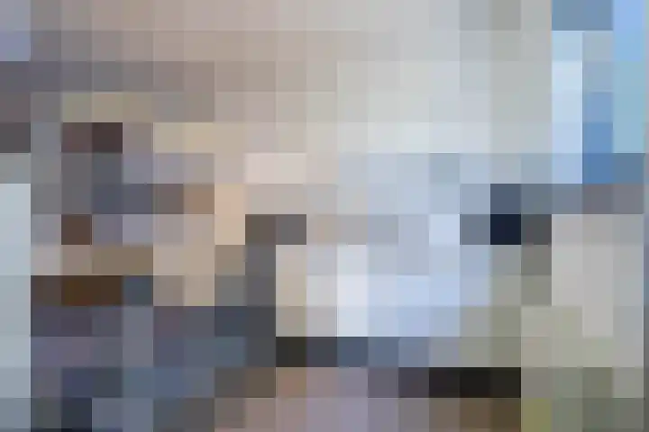 Langdonk 4 Bavel thumbnail 31