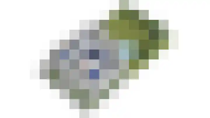 Langdonk 4 Bavel thumbnail 39