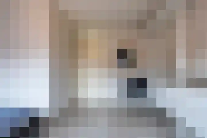 Lange acker 1 Heemskerk thumbnail 20