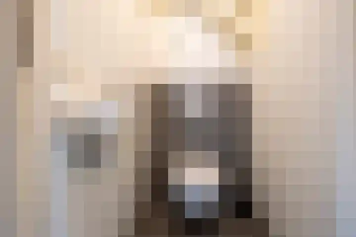 Lange acker 1 Heemskerk thumbnail 22