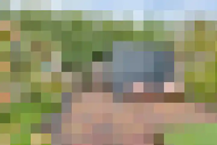Lange Akker 19 Kampen thumbnail 29